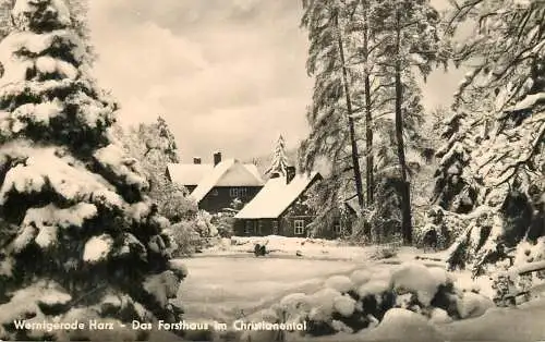 Germany Wernigerode Harz - Das Forsthaus