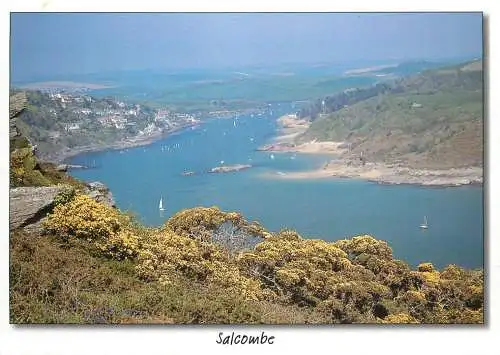 Navigation sailing vessels & boats themed postcard Salcombe sailboats