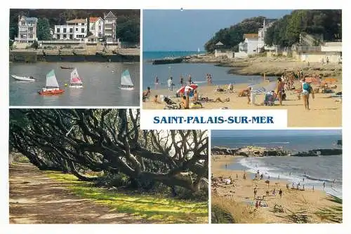 Navigation sailing vessels & boats themed postcard Saint Palais Sur Mer