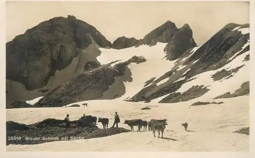Postcard Switzerland Blauer Schnee mit Santis