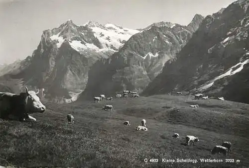 Postcard Switzerland Bazare der Jungfraubahn