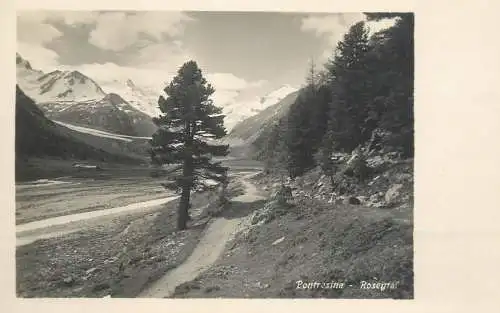 Postcard Switzerland Pontresina Rosegta