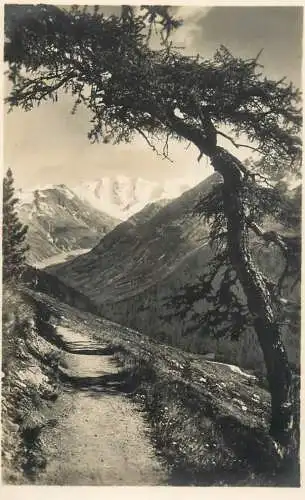 Postcard Switzerland Piz Palu