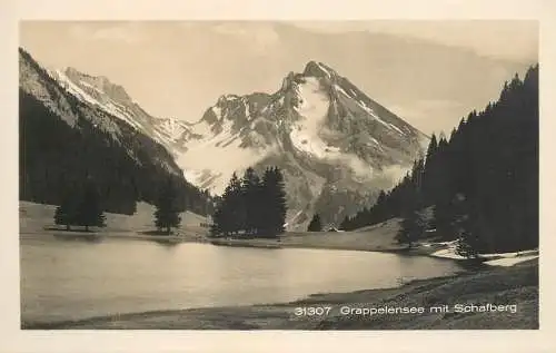Postcard Switzerland Grappelensee mit Schafberg