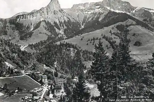 Postcard Switzerland Les Avents Dent du Jaman Rochers de Naye