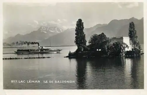 Postcard Switzerland Lac Leman Ile de Salognon