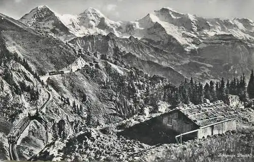Postcard Switzerland Schynige platte