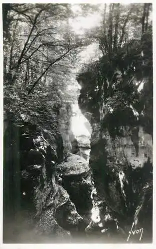 France Gorges du Fier les beaux hetres
