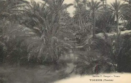 Tunisia Tozeur
