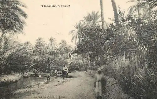 Tunisia Tozeur