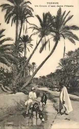 Tunisia Tozeur