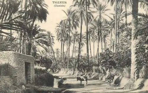 Tunisia Tozeur