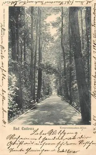 Poland Kudowa-Zdrój 1904