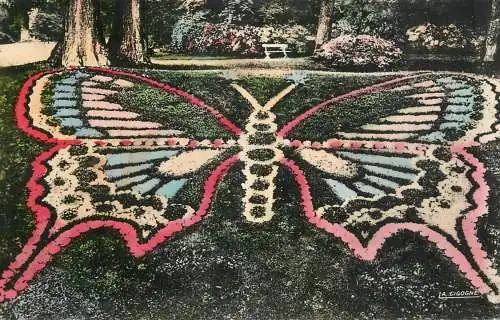 France Rouen (Seine-Maritime) Le papillon du jardin des plantes