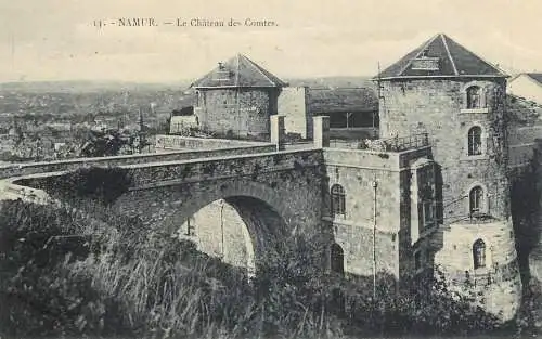 Belgium cpa Namur le chateau des Comtes