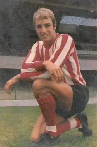 Ron Davies football player