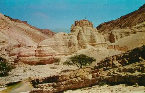 Israel Zohar Citadel Casa El Suera