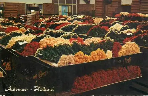 Netherlands Aalsmeer flower auction hall interior view