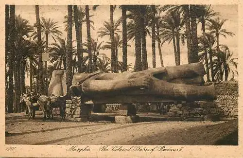 Egypt Memphis Colossal statue of Ramses II