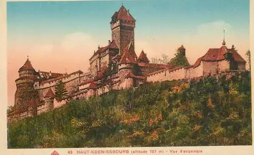 France Orschwiller Haut-Koenigsbourg Castle vue d'ensemble