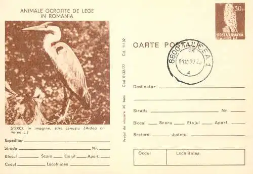 Postal stationery postcard Romania starc grey ardea cinerea