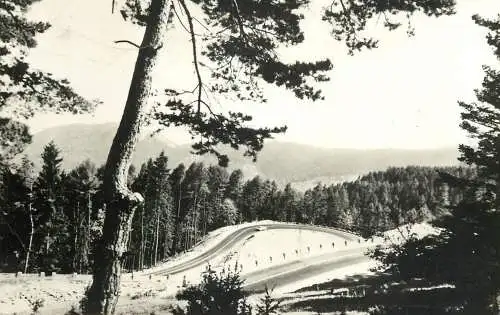 Romania Brasov - drumul spre Poiana