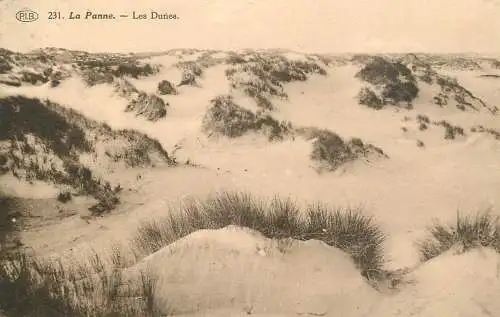 Belgique cpa La Panne les dunes