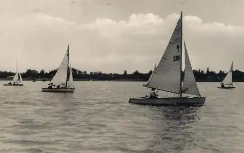 Hungary Velence lake sailing types and scenes