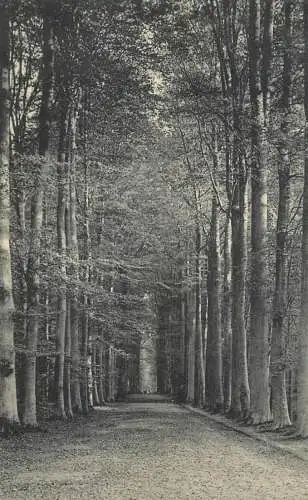 Belgique cpa Tervueren