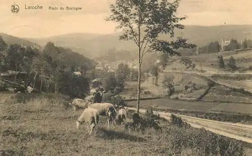 Belgique cpa Laroche route de Bastogne