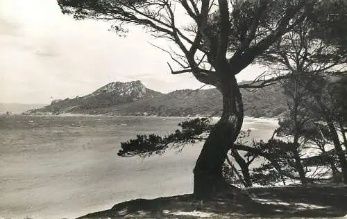 France cpsm Porquerollesplage de Notre Dame