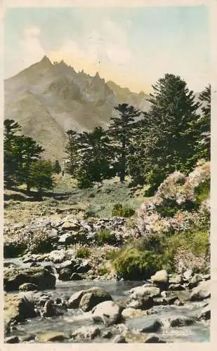 France cpsm Mont Dore les Bains