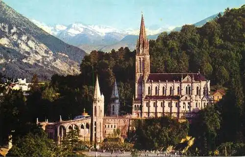 France cpsm Lourdes basilique
