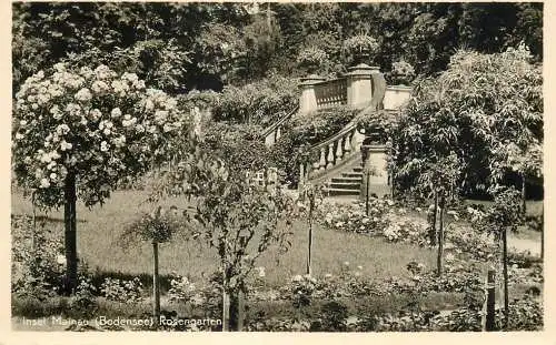 Germany Insel Mainau am Bodensee Rosengarten