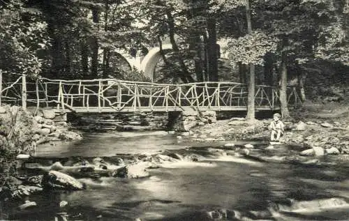 Germany Schonen Westerwald rustic bridge & forest view