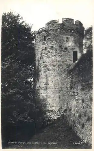 British castles architecture Garrison tower Usk castle