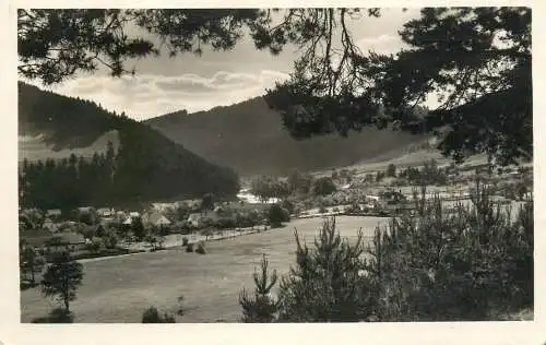 Germany Wuhr im Schwarztal (Bohm.-Muhr Hohenzug) general view