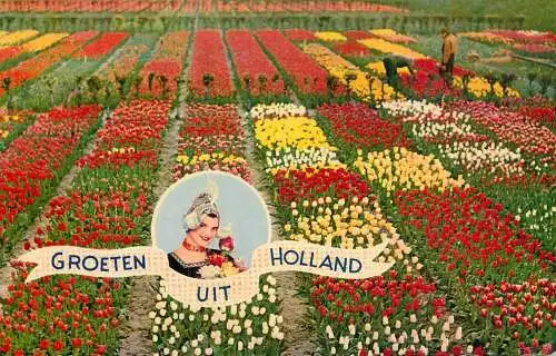 Groeten uit Netherlands flower decoration tulips field