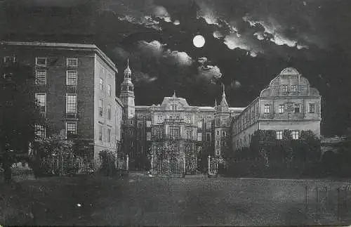 Germany Dessau Herzoglisches Schloss nocturnal aspect