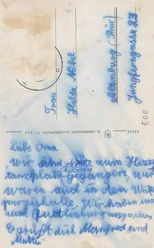 Germany Bodetal Konigsgruh mit Rosstrappenfelsen