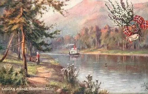 Raphael Tuck & Sons "Oilette" scenic postcard Laggan Avenue Caledonian canal paddle steamer