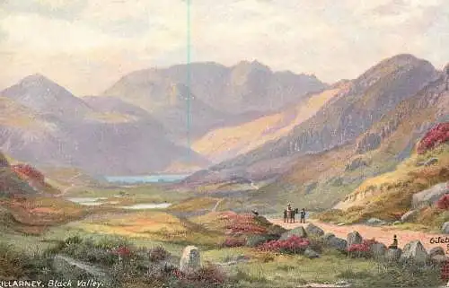 Raphael Tuck & Sons "Oilette" scenic postcard Killarney Black Valley