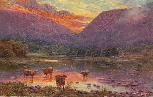 Raphael Tuck & Sons "Oilette" scenic postcard the Middle Lake Torc lake