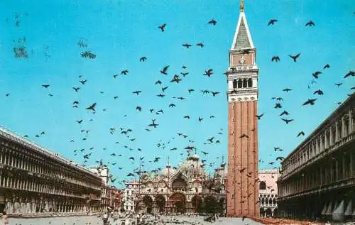 Italy Venezia Piazza S Marco pigeons flight