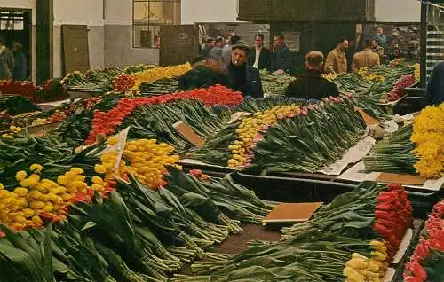 Netherlands Aalsmeer flower auction