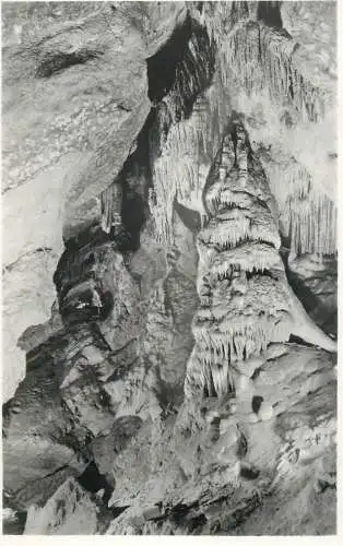 Postcard Belgium les grottes de Han sur Lesse le capitole