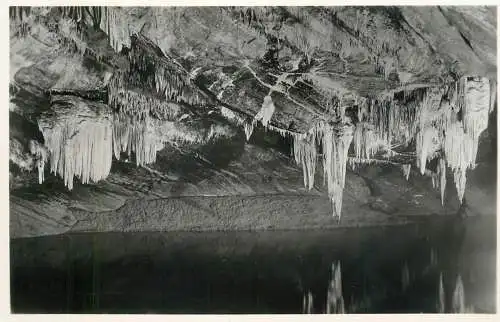 Postcard Belgium les grottes de Han sur Lesse les draperies