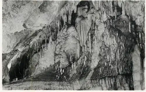 Postcard Belgium les grottes de Han sur Lesse la Marveilleuse