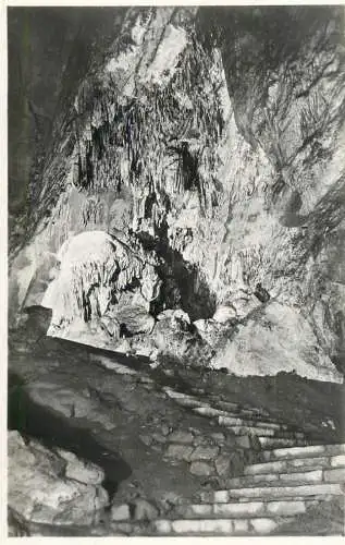 Postcard Belgium les grottes de Han sur Lesse la salle du Trophee