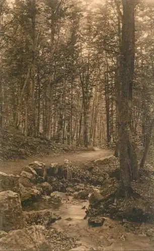 Postcard Belgium Spa la Hoegne promenade Meyerbeer